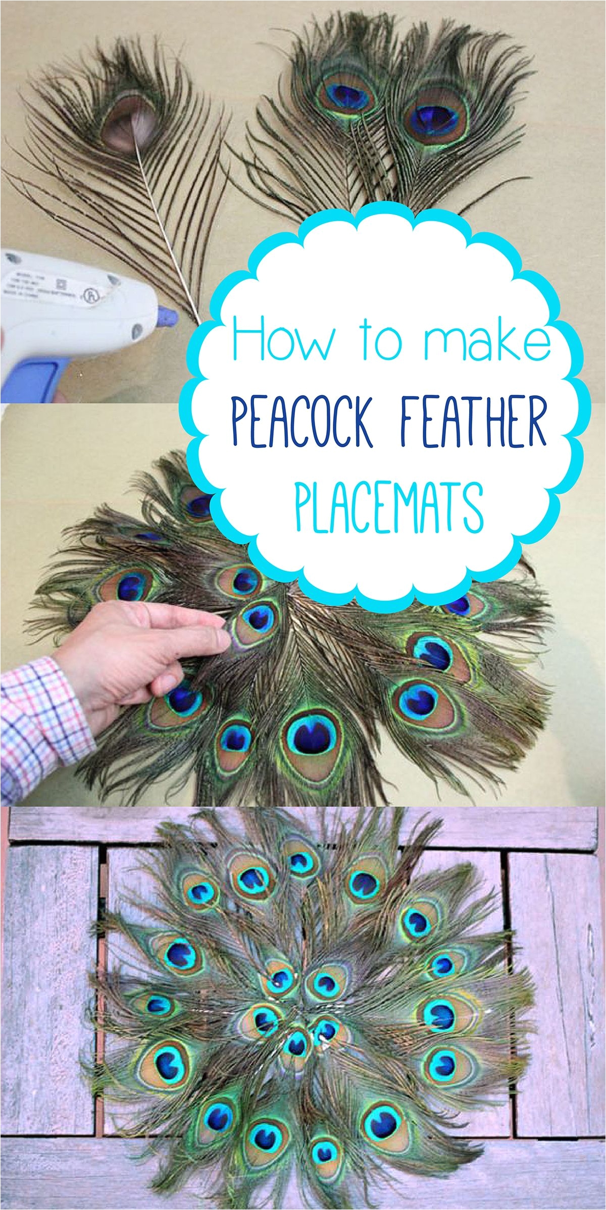 a placemat made entirely of peacock feathers is truly a luxurious way to dress up the table they retail in stores for up to 100 but you can make them for