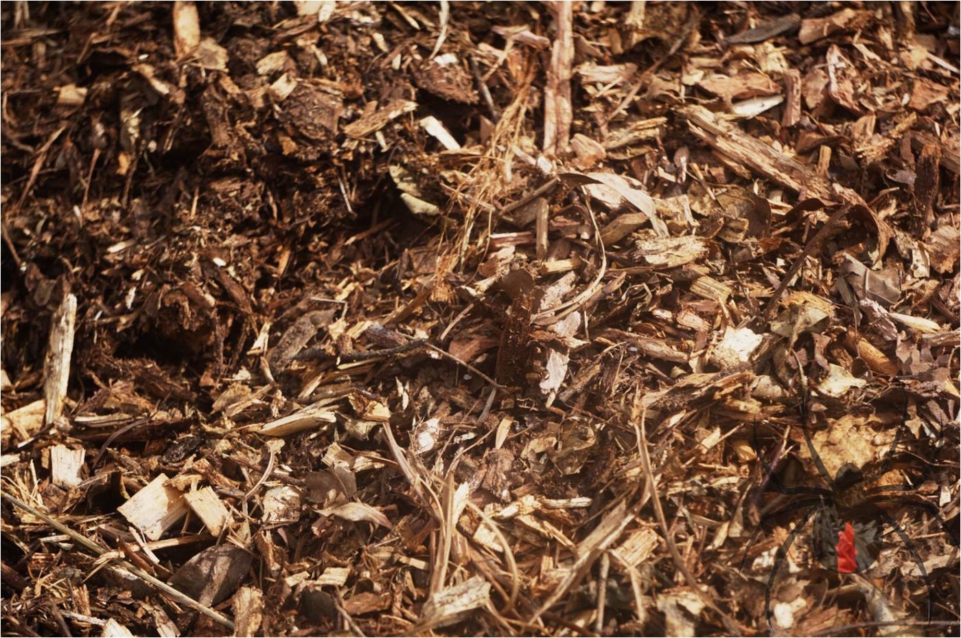 forest mulch