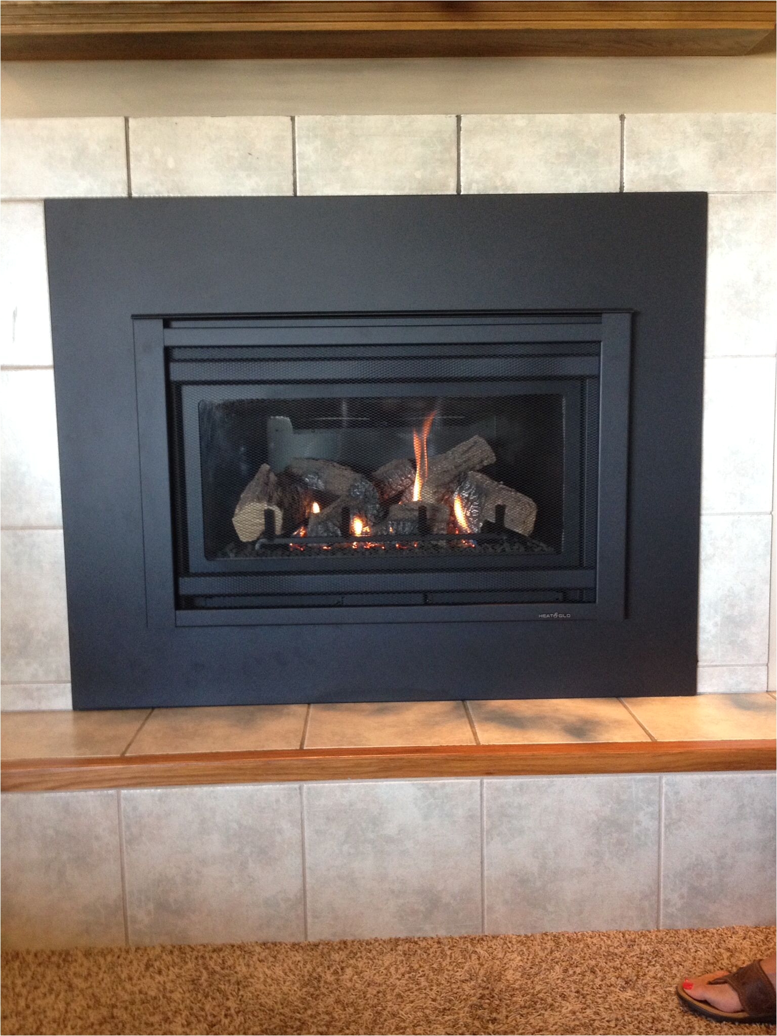 Propane Fireplace Insert Repair Heat N Glo Supreme I 30 Gas Insert with Custom Surround Panel