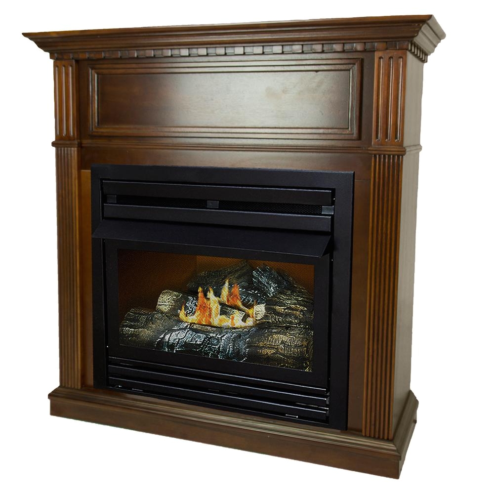 27 500 btu 42 in convertible ventless propane gas fireplace