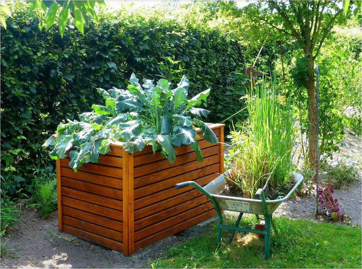 Raised Vegetable Garden Beds Raised Bed Gardens and Small Plot Gardening Tips the Old Farmer S