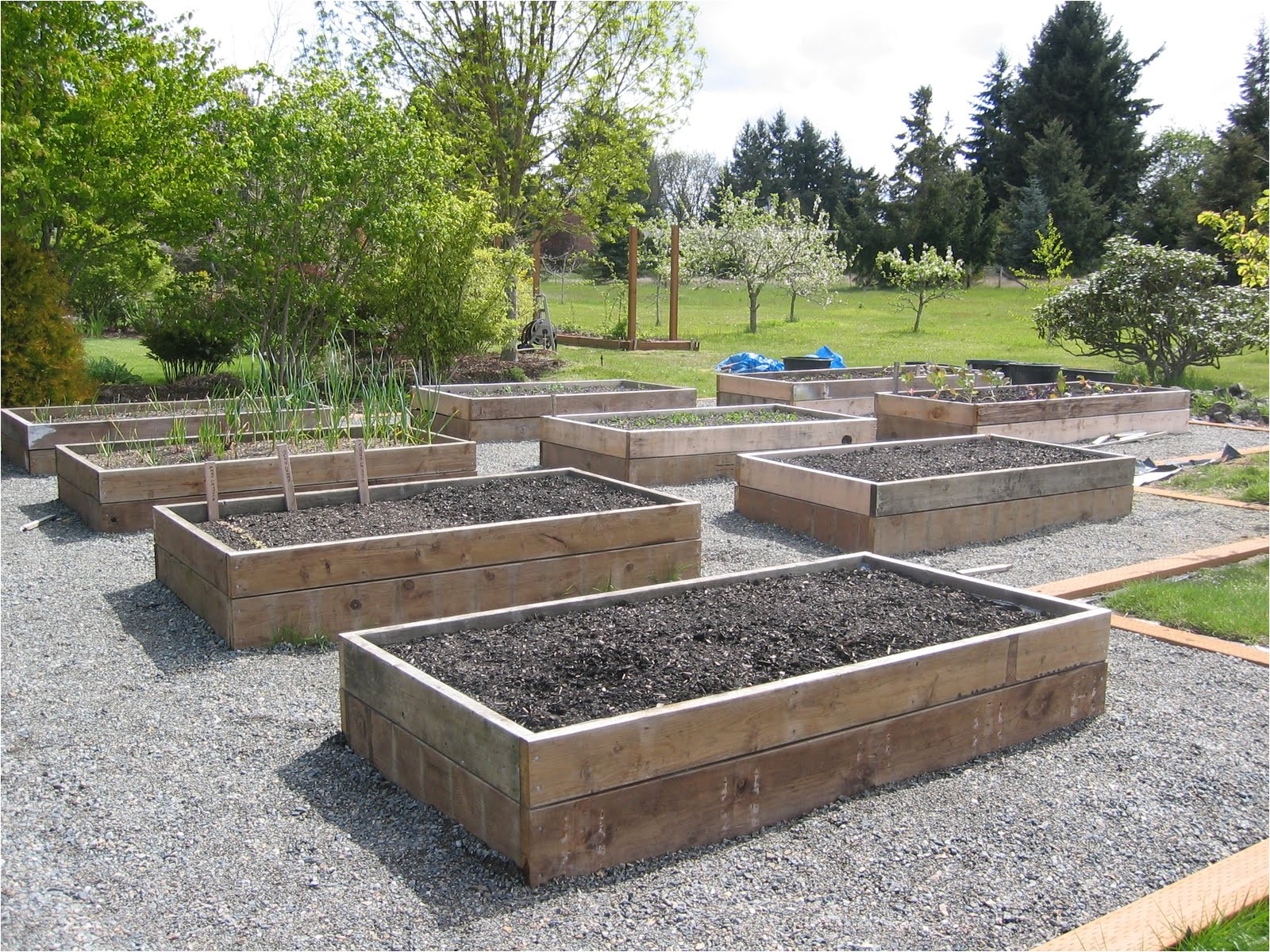 Raised Vegetable Garden Beds Raised Vegetable Garden Bed Tips and Benefits Landscaping and