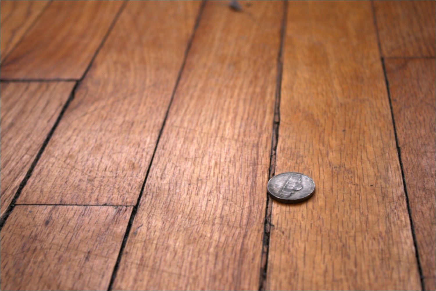 Re Nailing Hardwood Floors why Your Engineered Wood Flooring Has Gaps