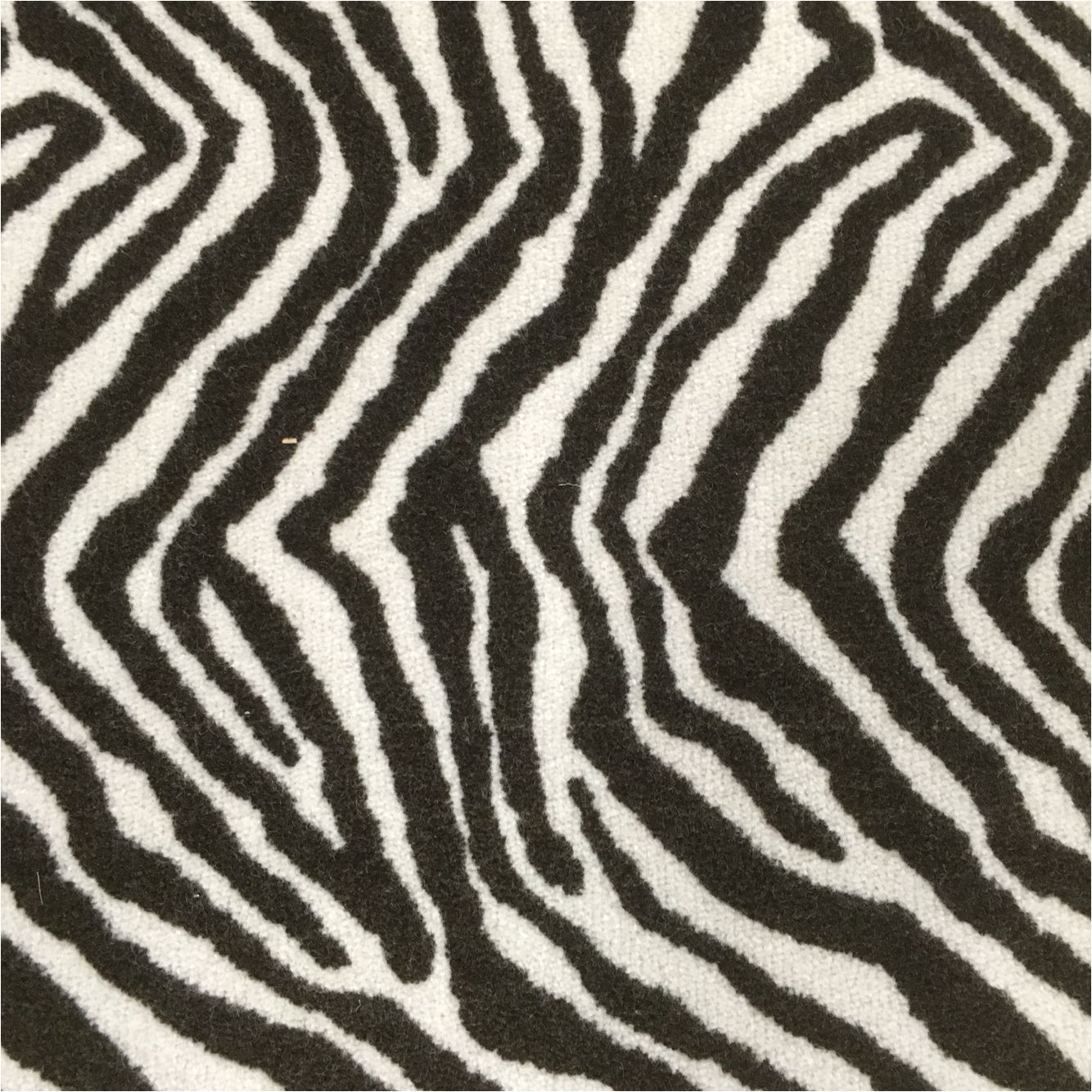 great looking new zealand wool animal print carpet perfect for wall to wall installed carpet