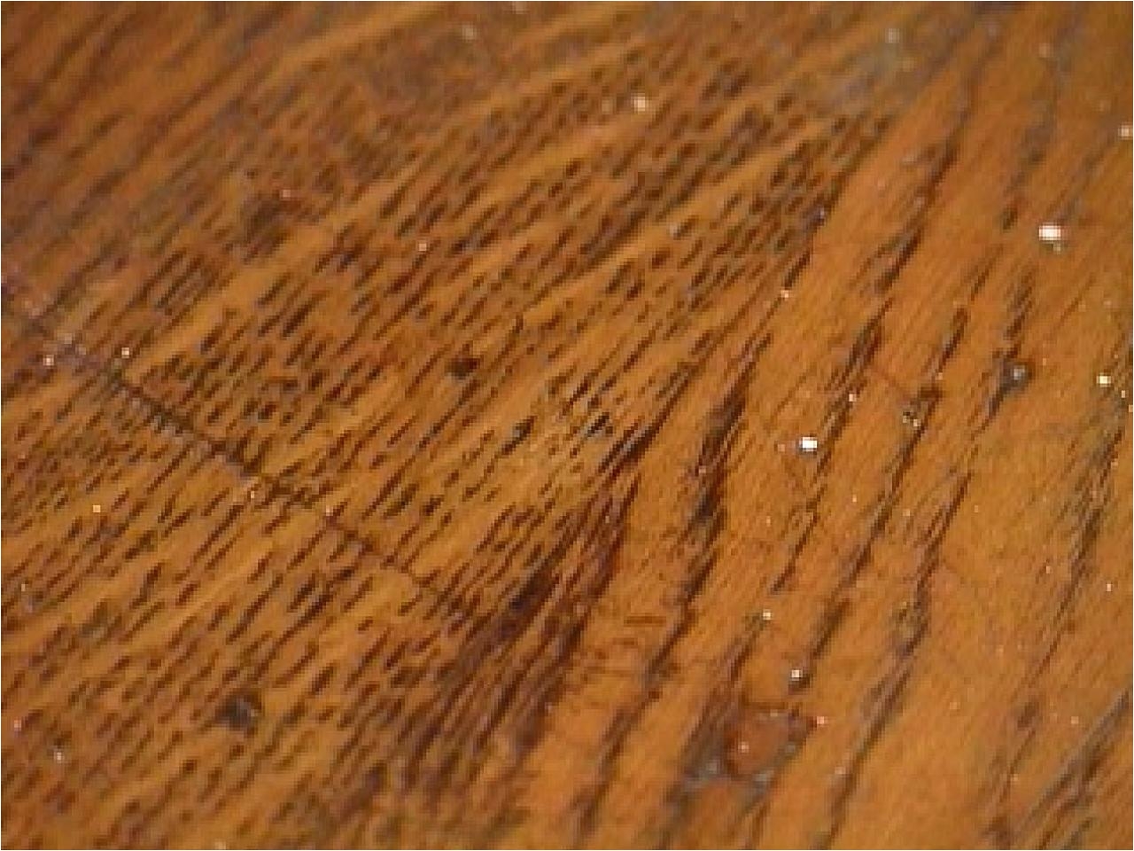 how to remove burn marks on a hardwood floor