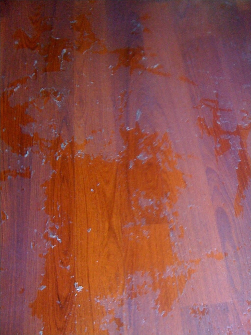 how to remove oily or wax build up from cleaning or polishing solutions from wood floors