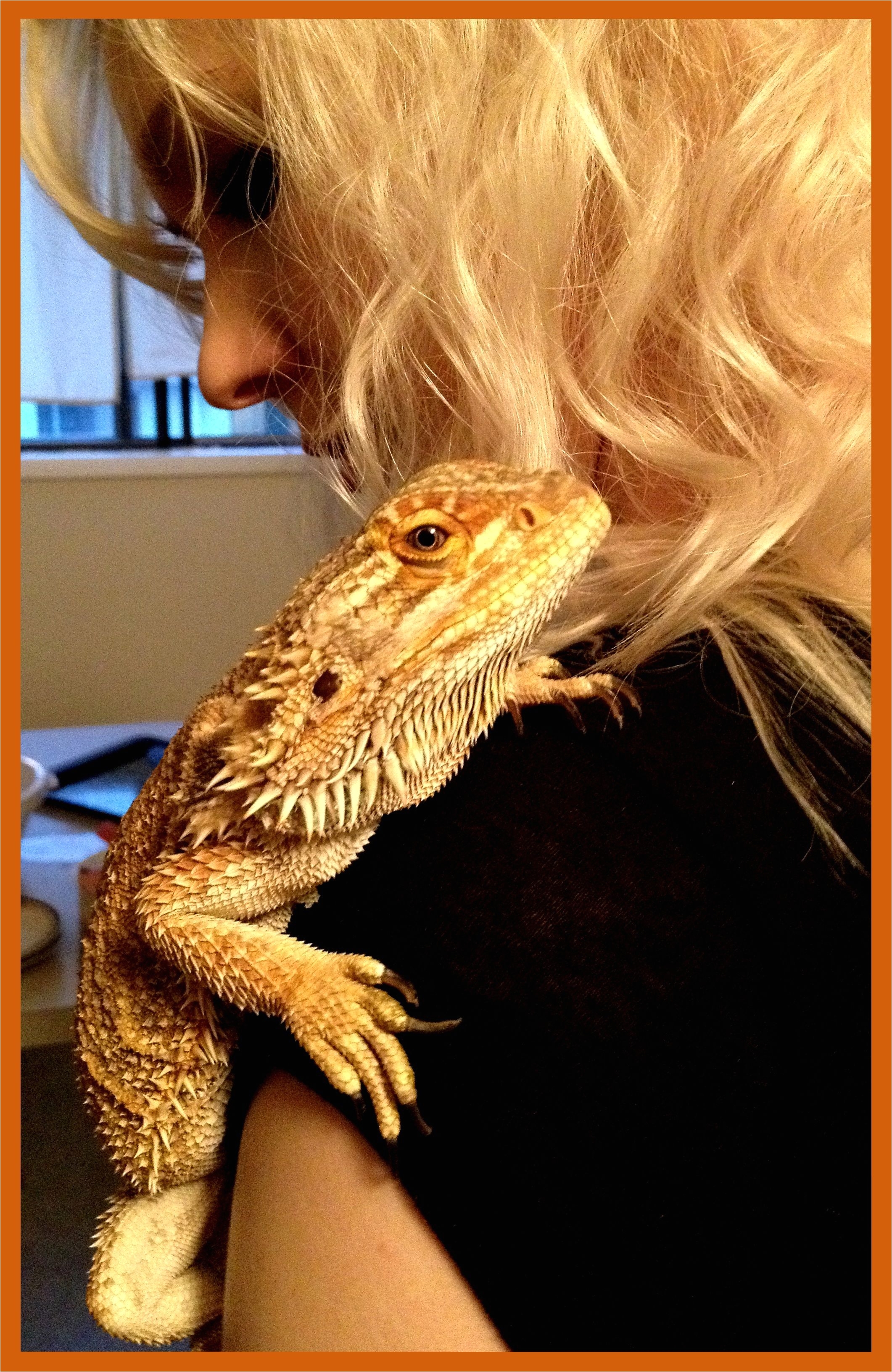 bearded dragons love to cuddle