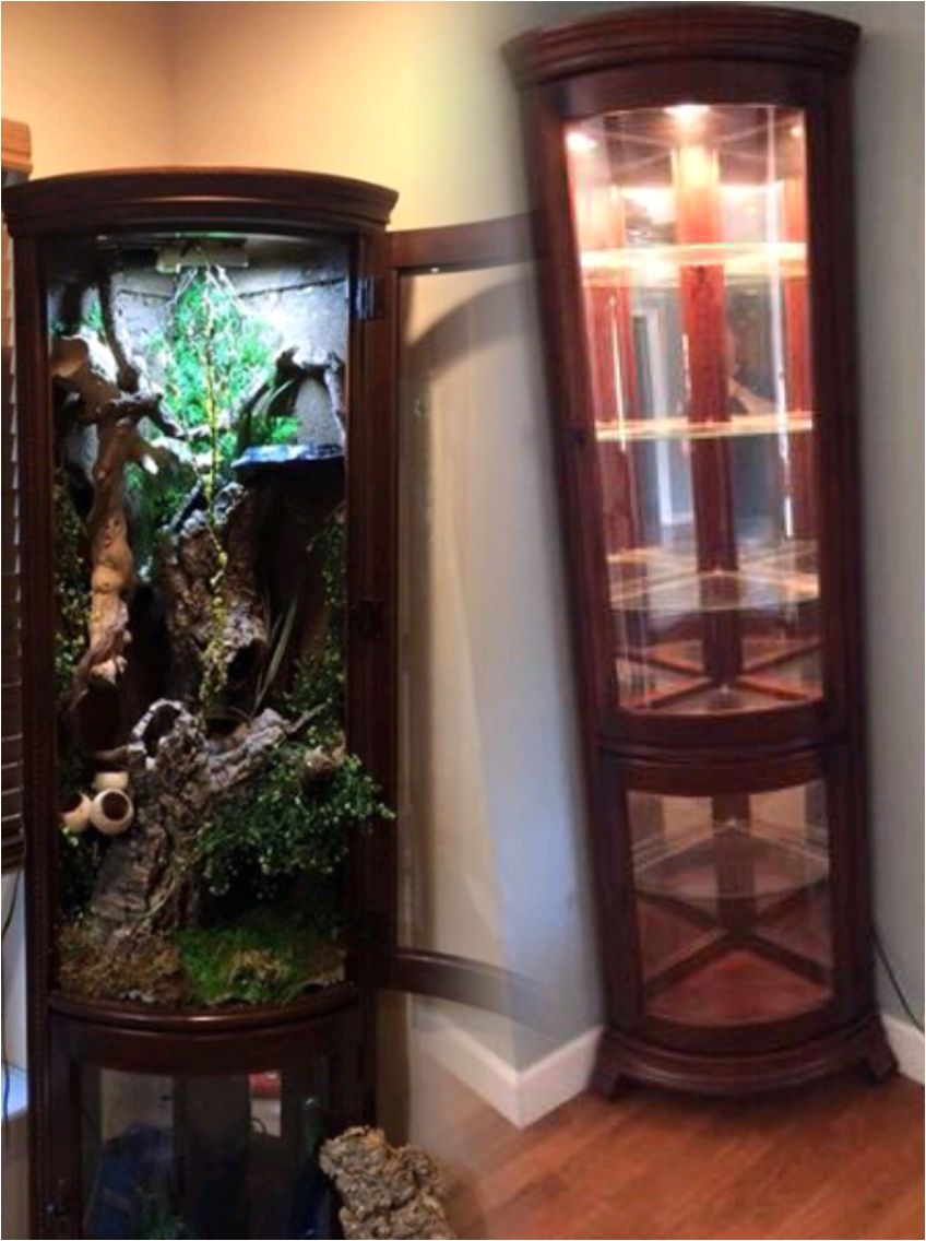 reptile furniture cage curio cabinet this would be great for a chameleon