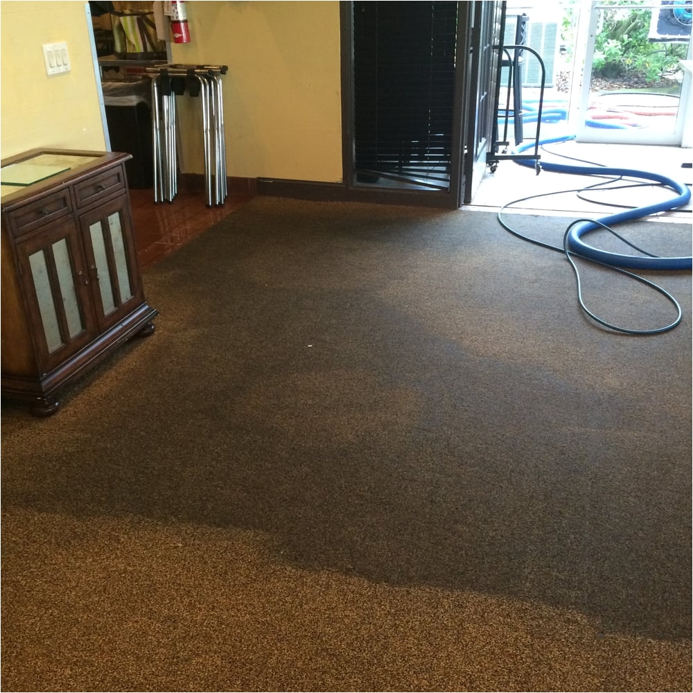 a plus carpet cleaning 13 photos carpet cleaning clermont fl phone number yelp