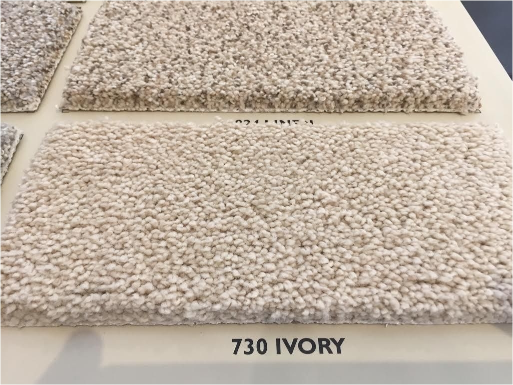 bed 2 bed 3 bed 4 carpet all star dw060 ivory 730