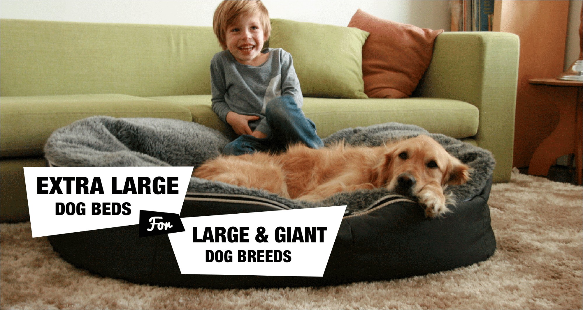 Snoozer Overstuffed sofa Pet Bed Reviews 6 Extra Large Dog Beds for Xl Xxl Dog Breeds Reviewed