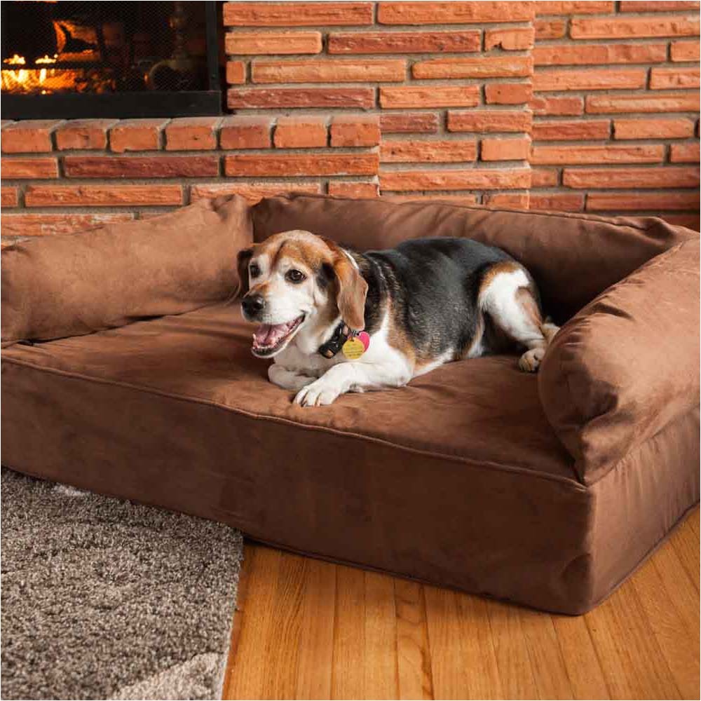 luxury dog sofa