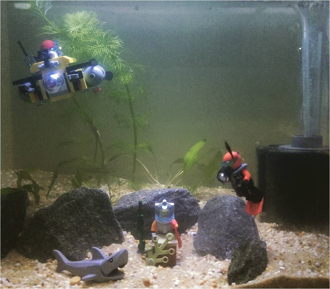 Star Wars Fish Tank Decor New Shrimp Tank Setup Lego Fish Tank Cherryshrimp Scubadiver