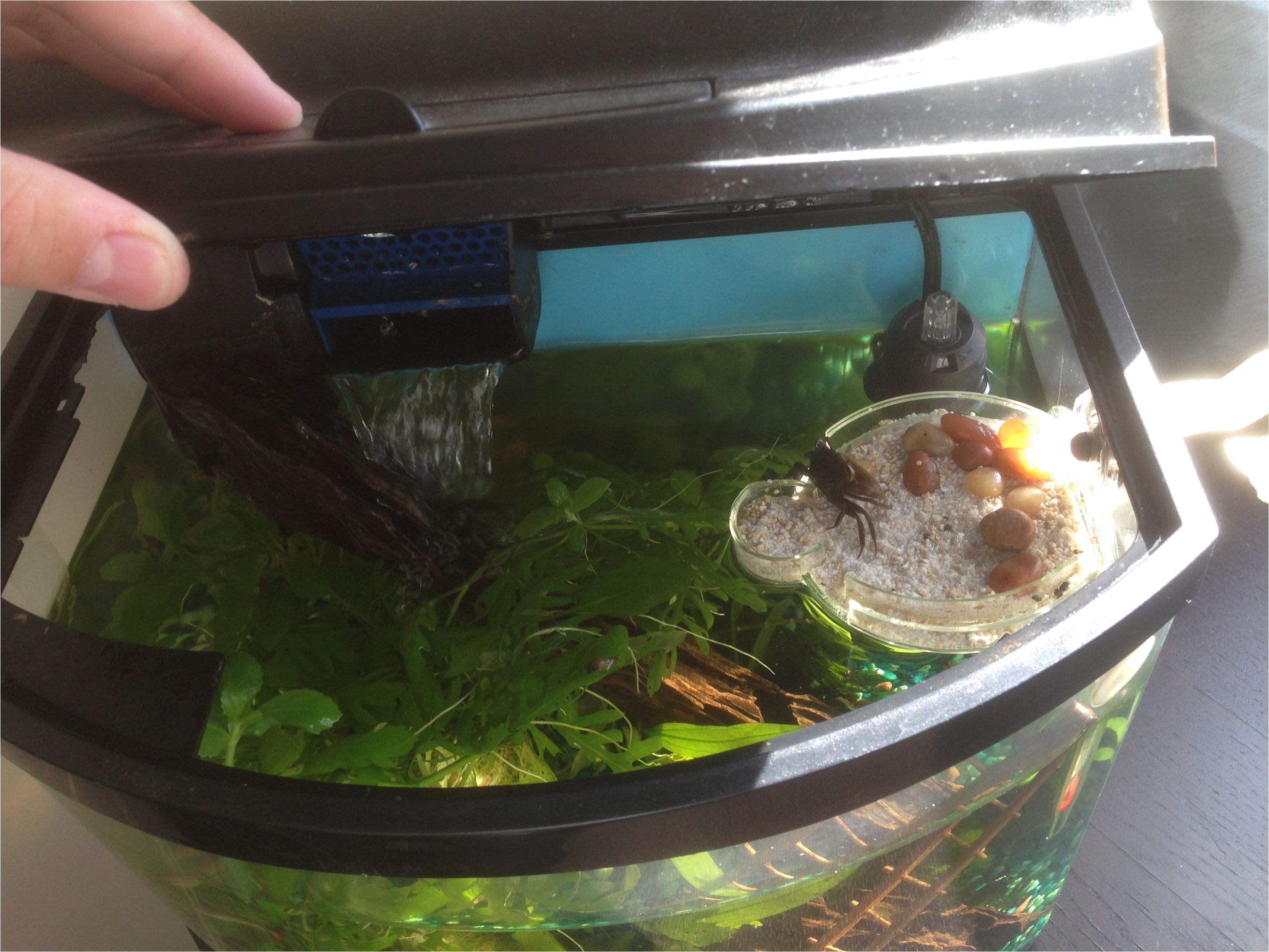 homemade island for aquariums with land dwellers i e fiddler crabs imgur