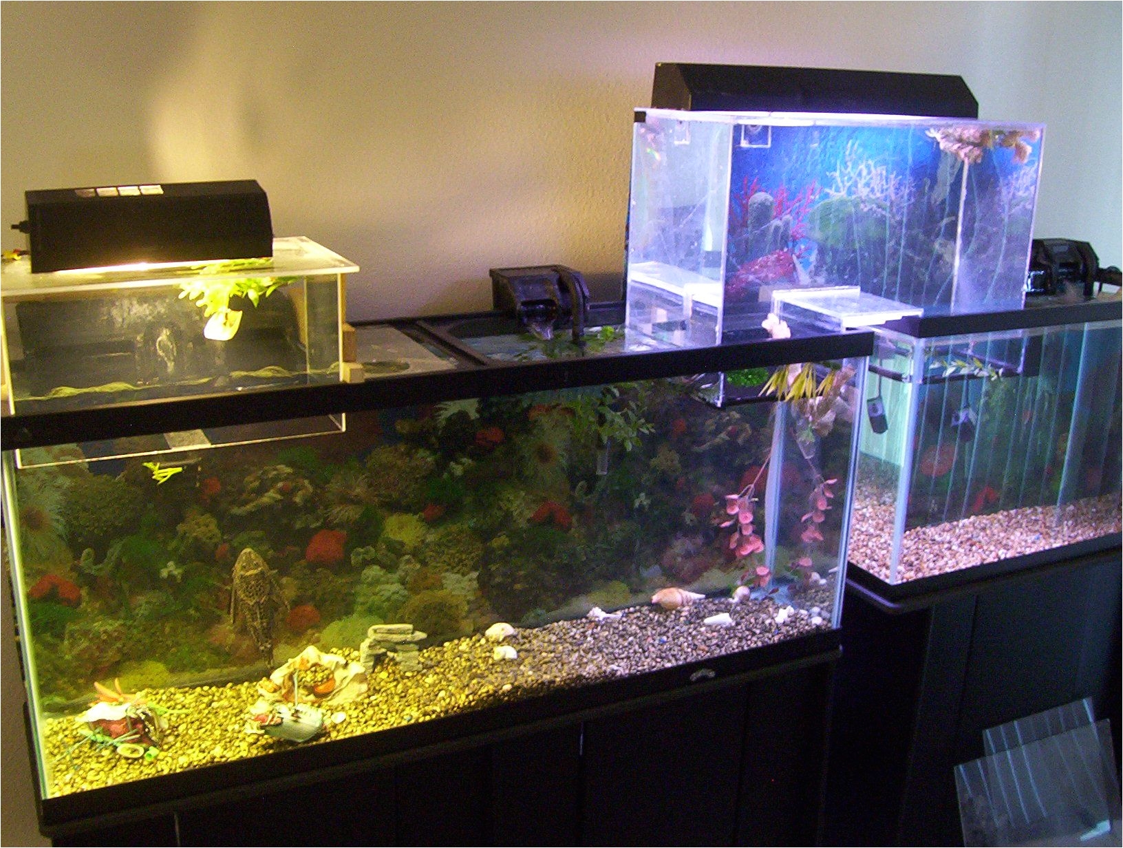 understanding upside down aquariums with diagrams the fish tank joint
