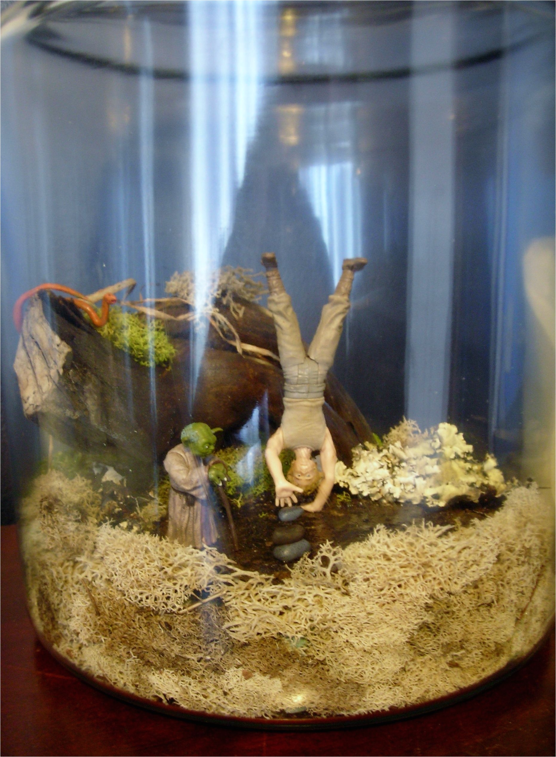 star wars dagobah terrarium