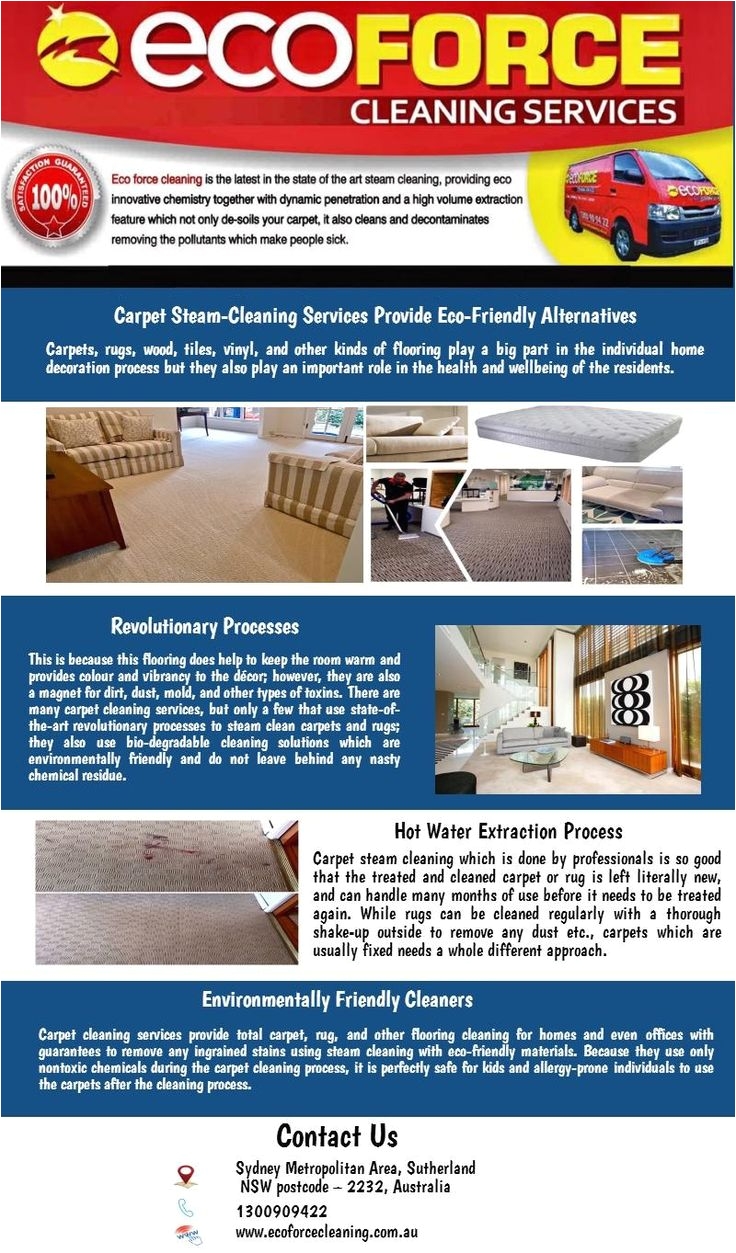 using eco friendly cleaning methods professional carpet steam services in sydney steam clean