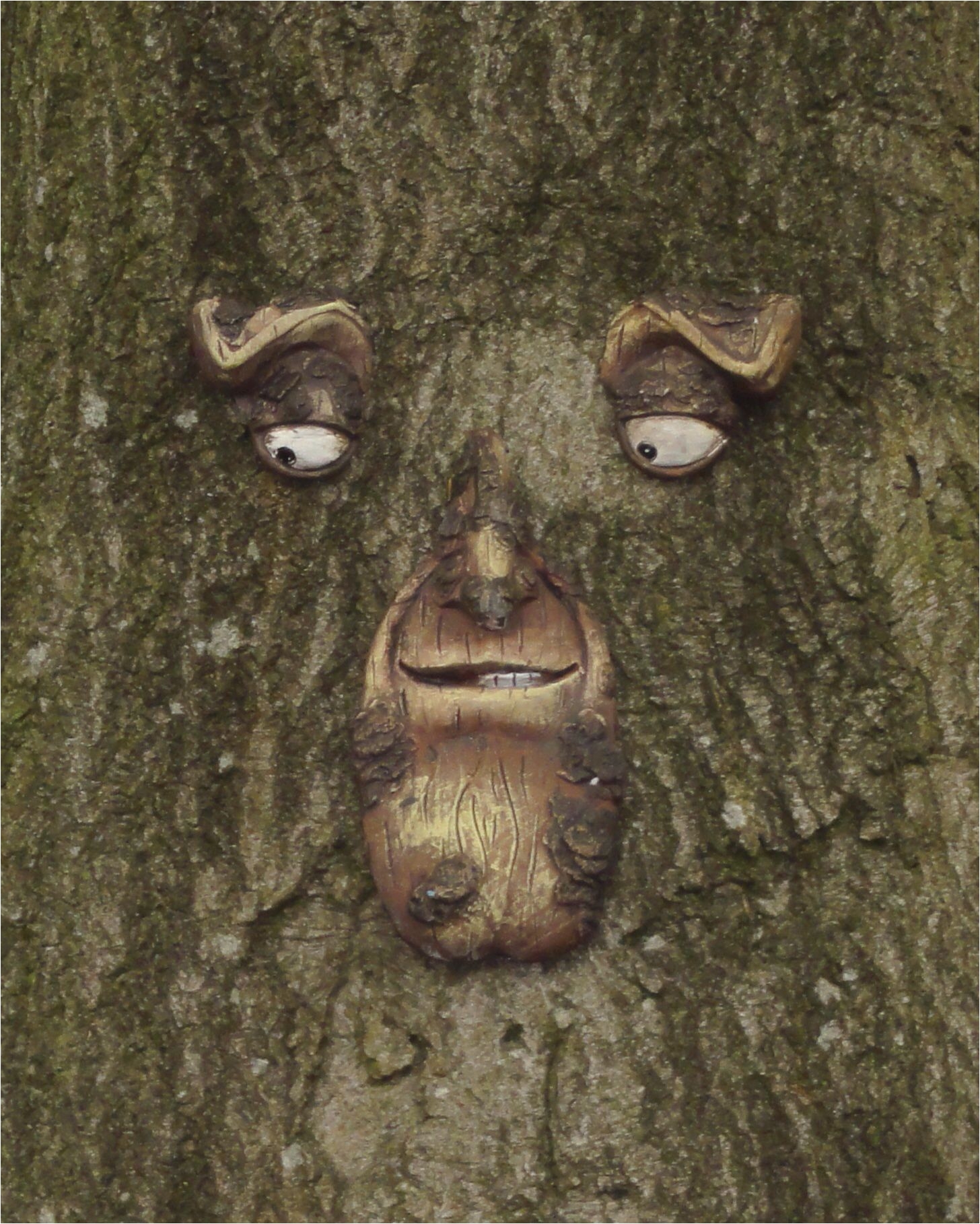 green man in tree nr whalley lancashire