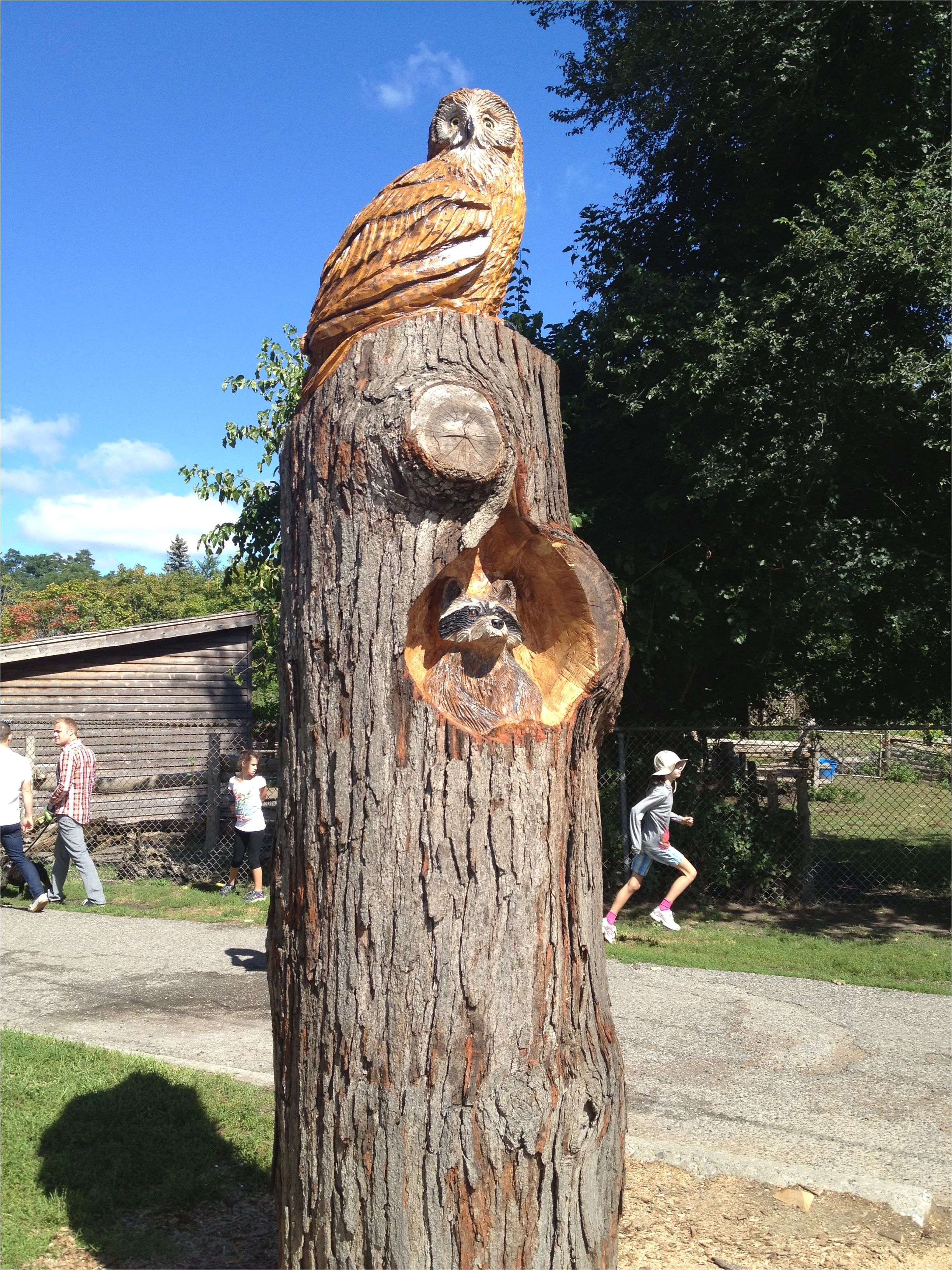 turning a tree stump in cabbagetown into art