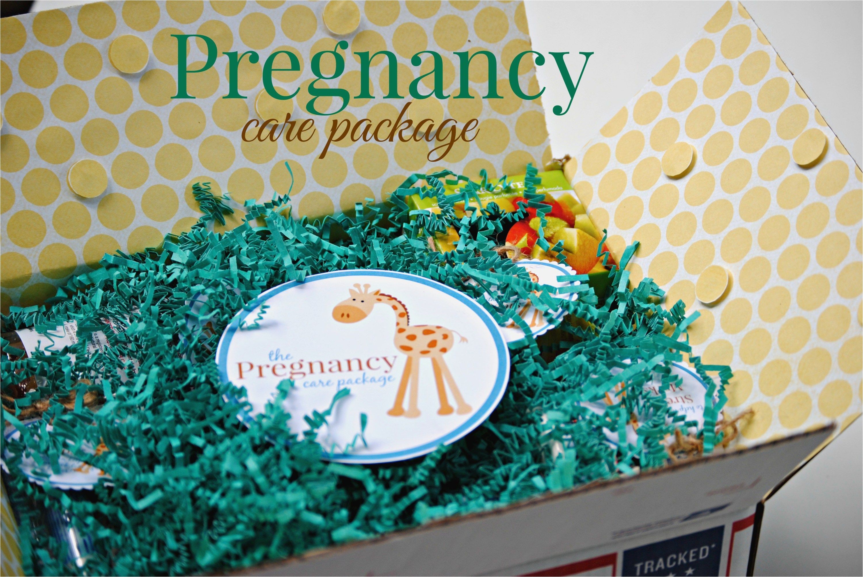 What is A Sprinkle Shower Love the Little Giraffe Send A Pregnancy Care Package Children