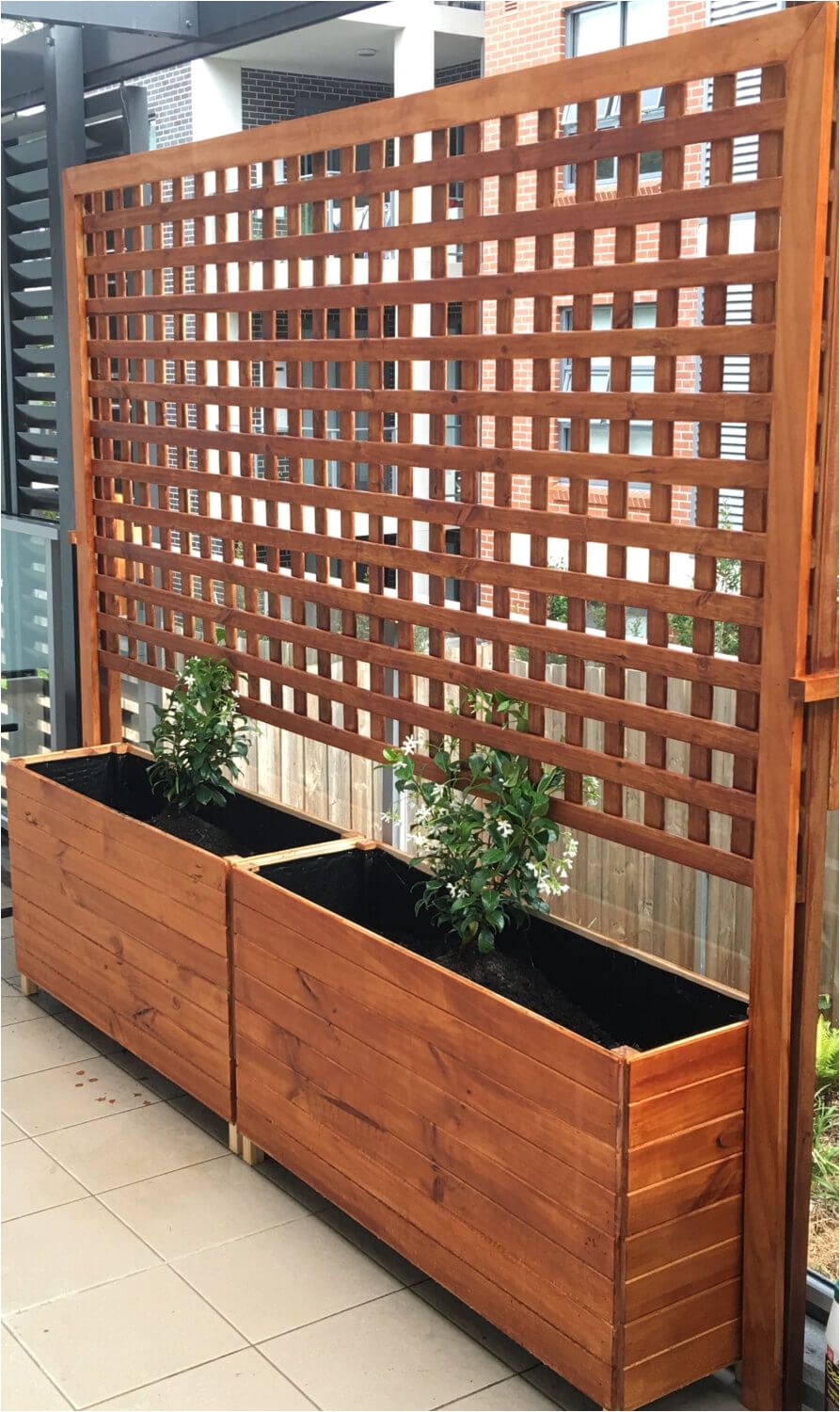 planter boxes with climbing trellis