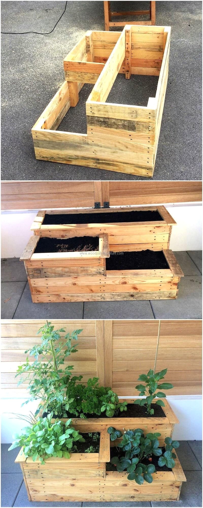 for the decoration lovers here is an idea for decorating the home in a unique way with the repurposed wood pallet planter in which the flower of different