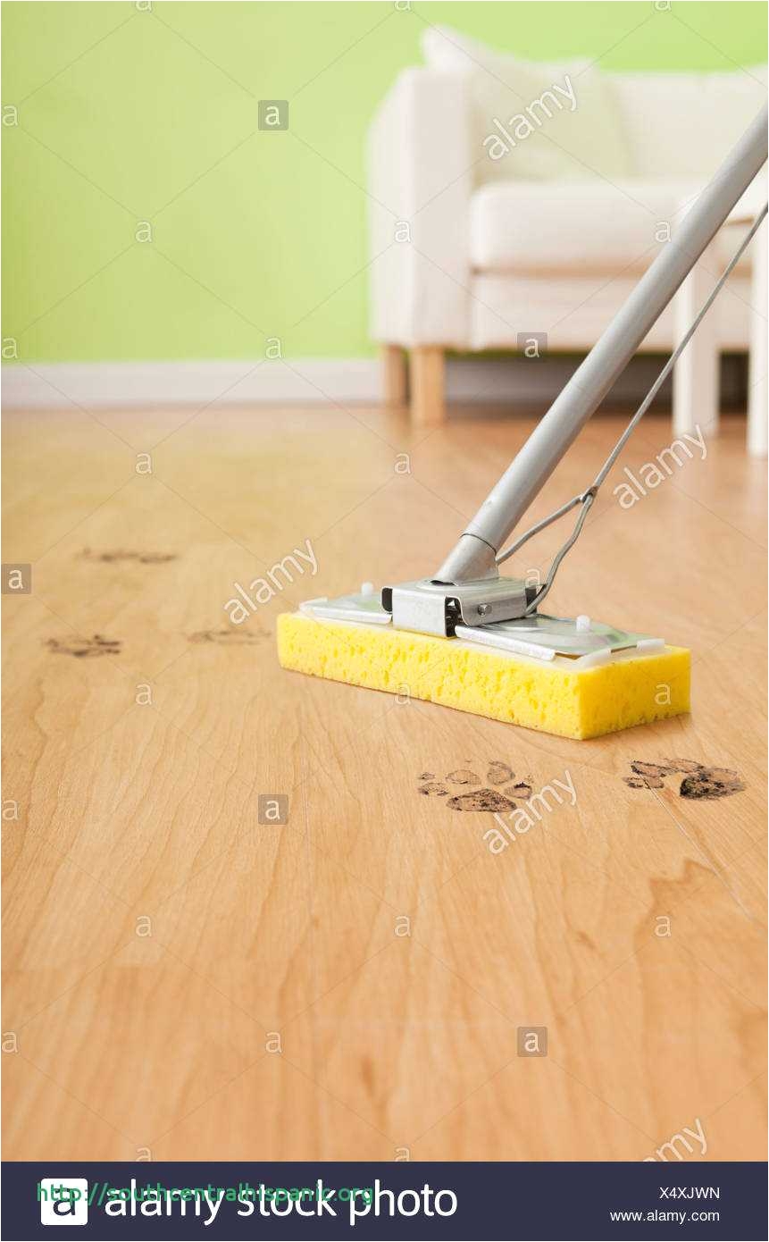 Best Type Of Mop to Clean Hardwood Floors 15 Charmant Microfiber Dust Mops for Hardwood Floors Ideas Blog