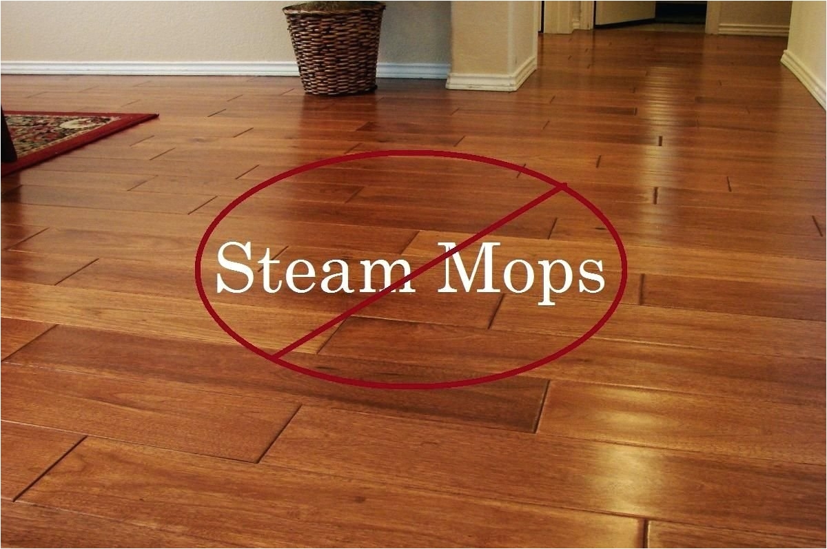 Best Way to Clean Hardwood Floors Steam Mop Steam Cleaners for Hardwood Floors Podemosleganes