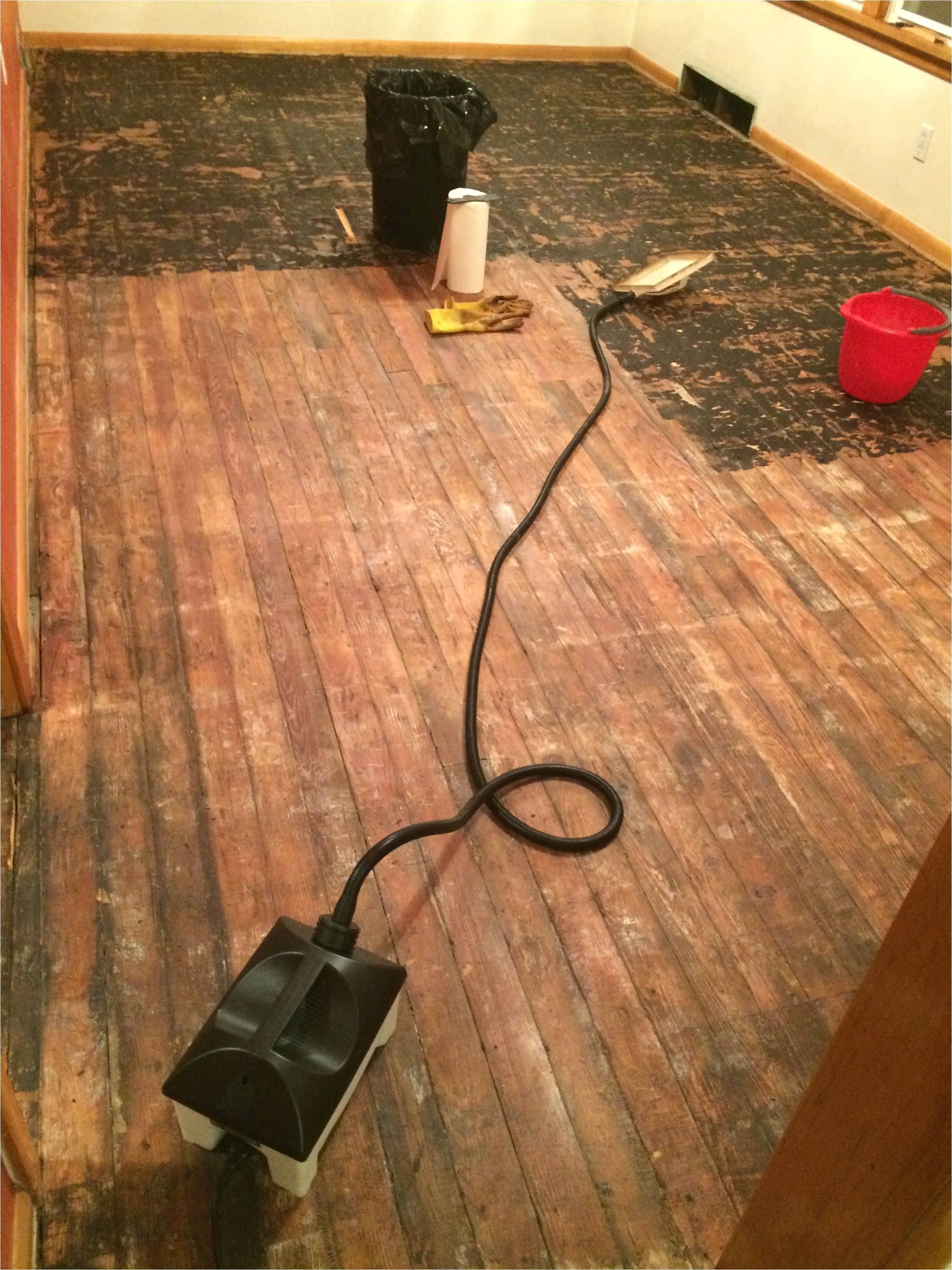 Removing Tar Glue From Hardwood Floors 40 How to Remove Glued Down Wood Flooring Images