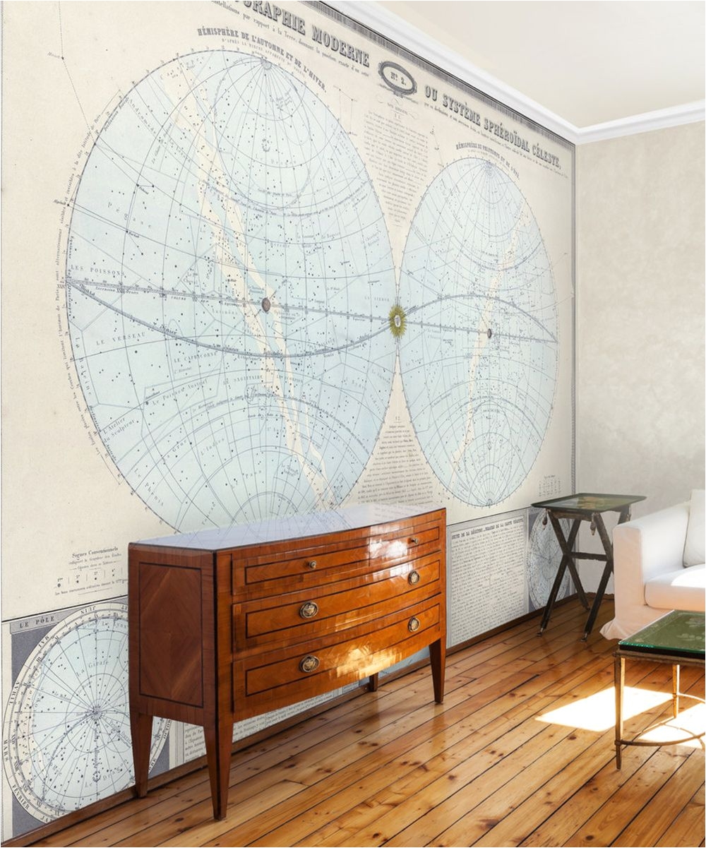 1863 double hemisphere map