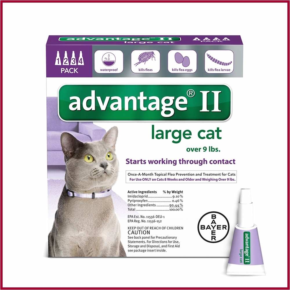 cat deterrent home remedies fresh advecta ii flea treatment for cat 4 monthly treatments of elegant