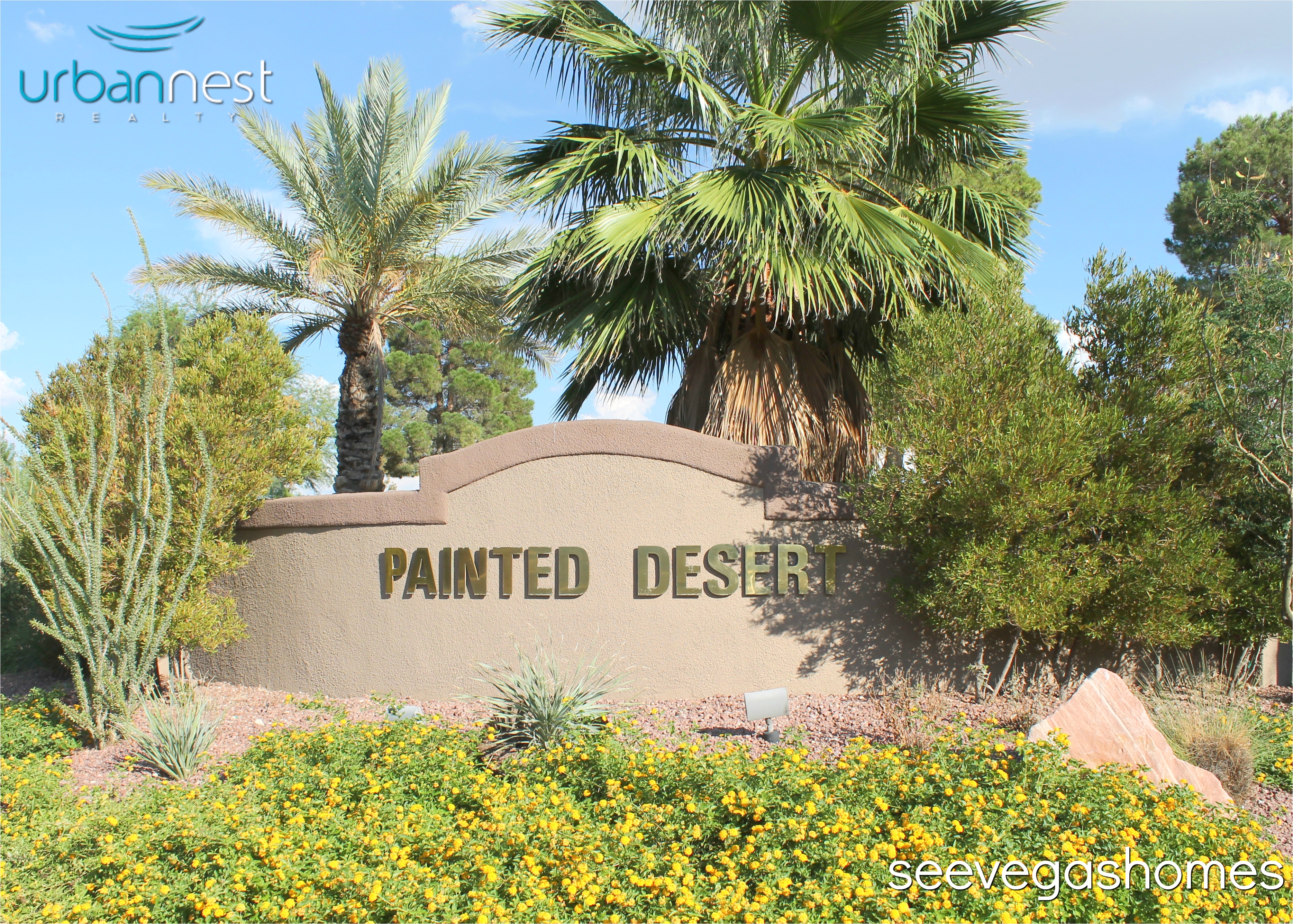 painted desert homes for sale