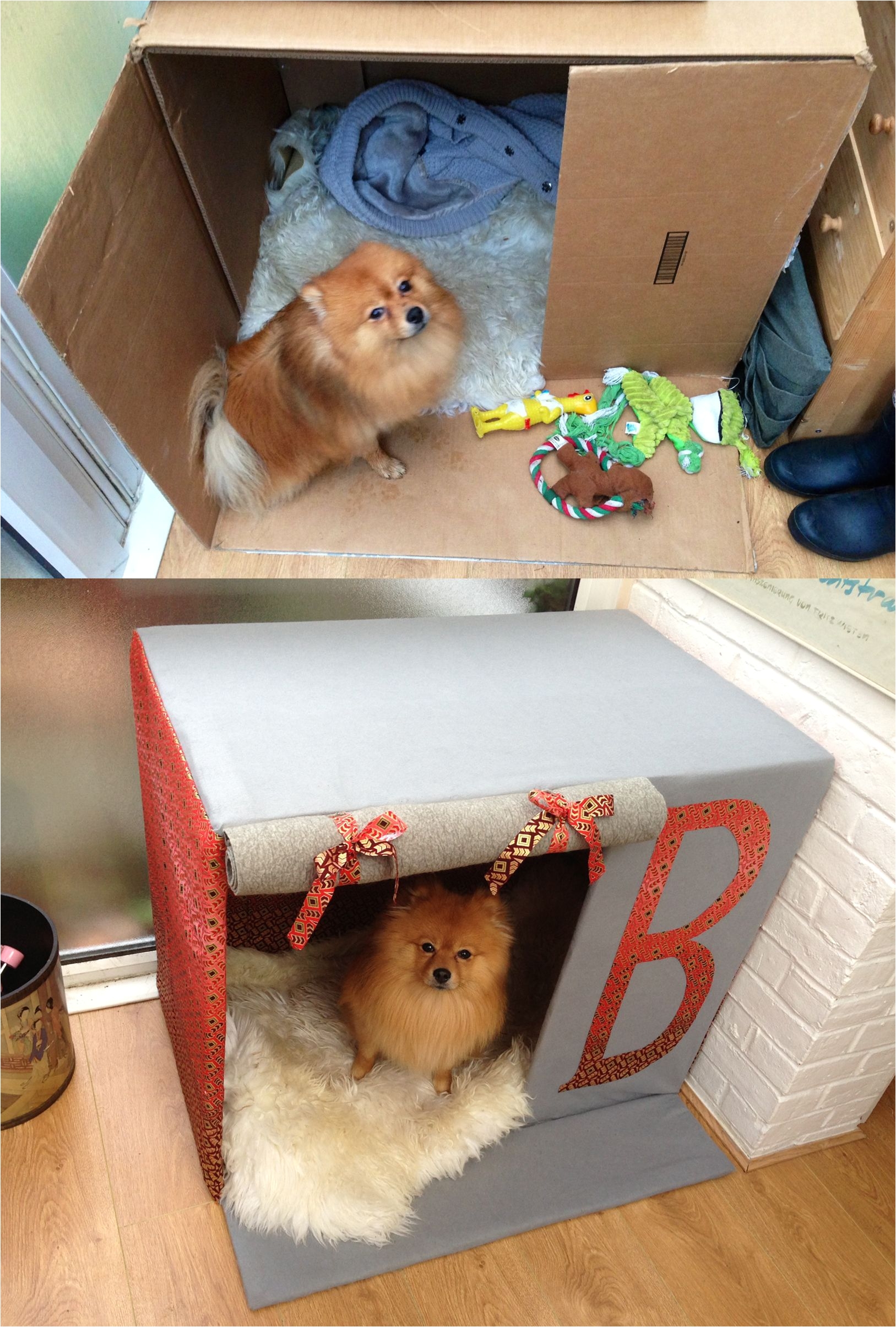 made my dog his own house out of a card board box diy