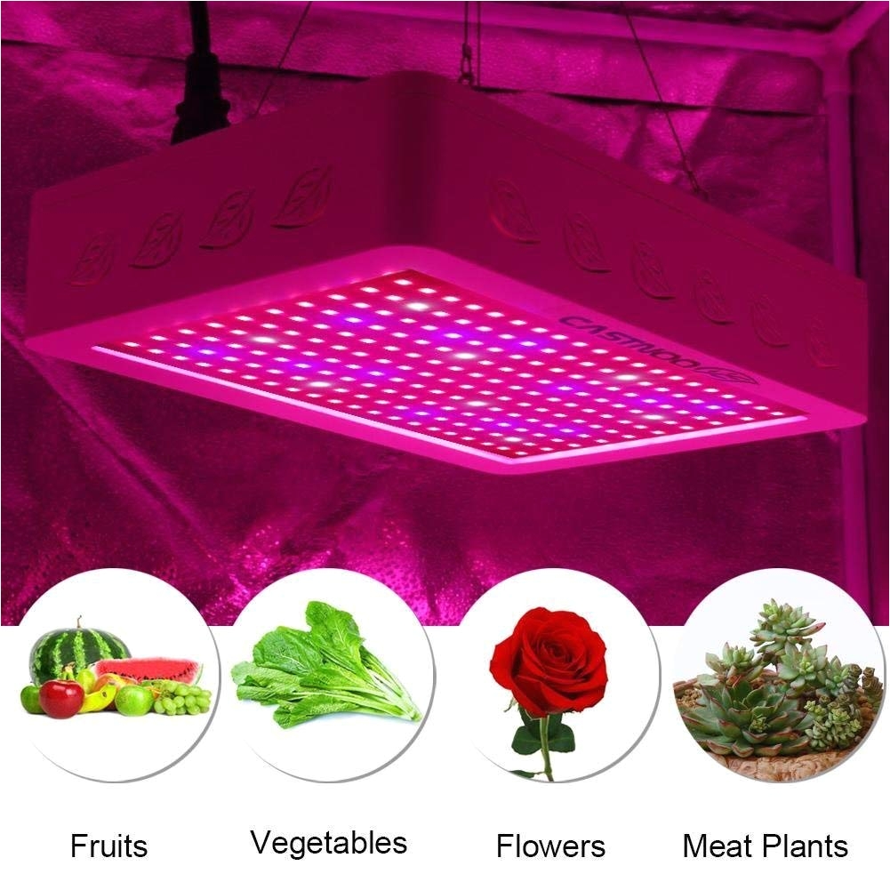 amazon com castnoo led grow light 600w full spectrum indoor plant grow light with ac power adapterincluded garden outdoor