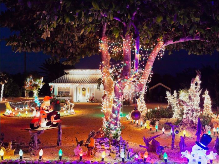 Animated Christmas Light Displays Buyers Guide for the Best Outdoor