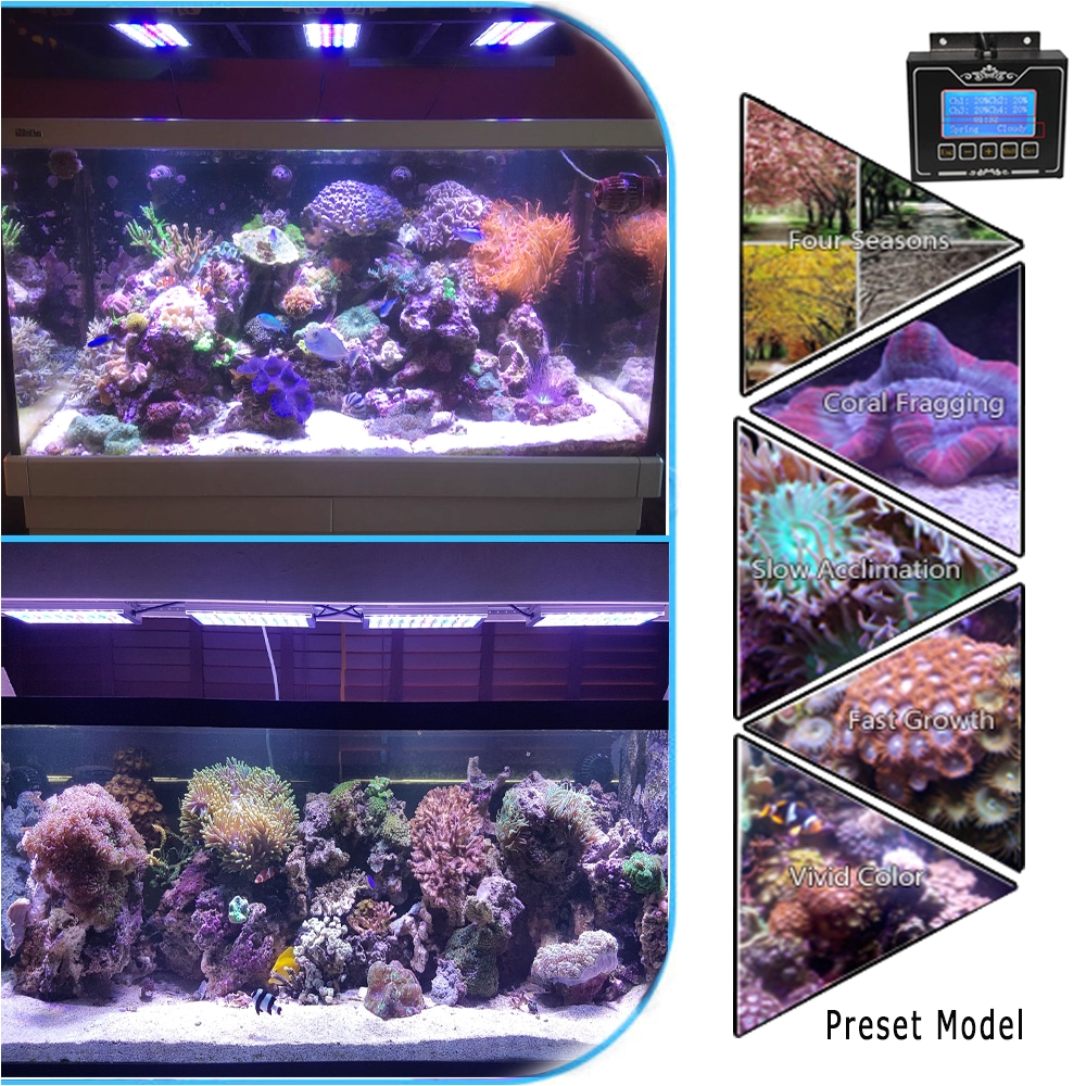 aliexpress com buy dsuny led aquarium light coral reef aquario full spectrum marine aquarium led lamp sunrise fish tank akvaryum marino led from reliable