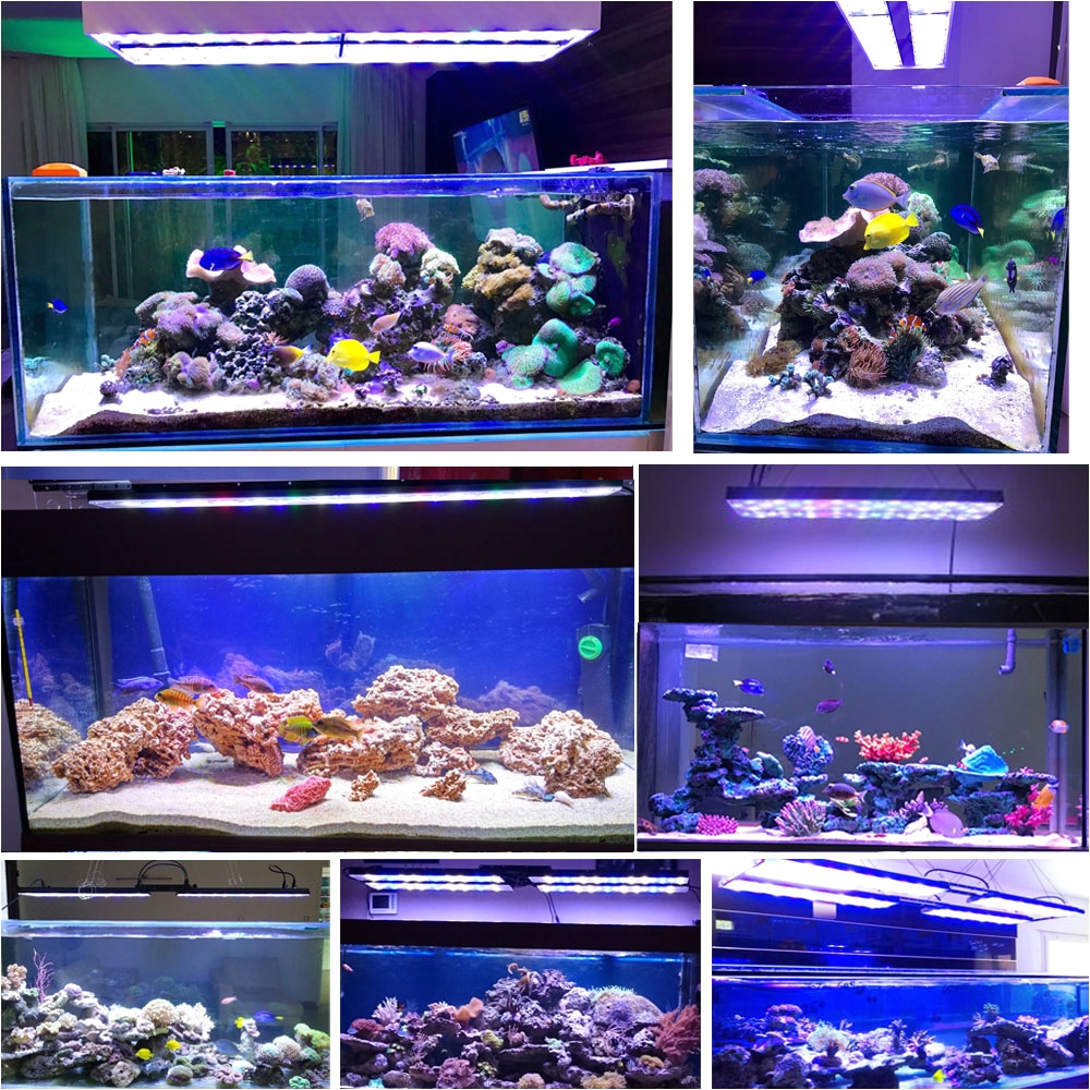 aliexpress com buy dsuny led lighting for reef tank akvaryum light marino led aquarium 240 cm coral reef tank lps fish tank lampe pecera acuario from