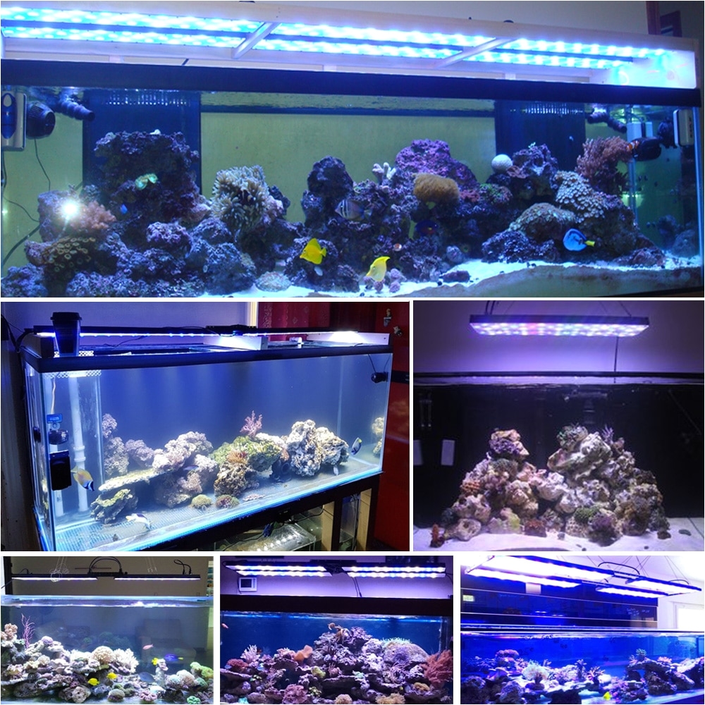 dsuny programmable full spectrum dimmable led aquarium lights for marine grow fish tank reef higher brightness led lights in lightings from home garden on