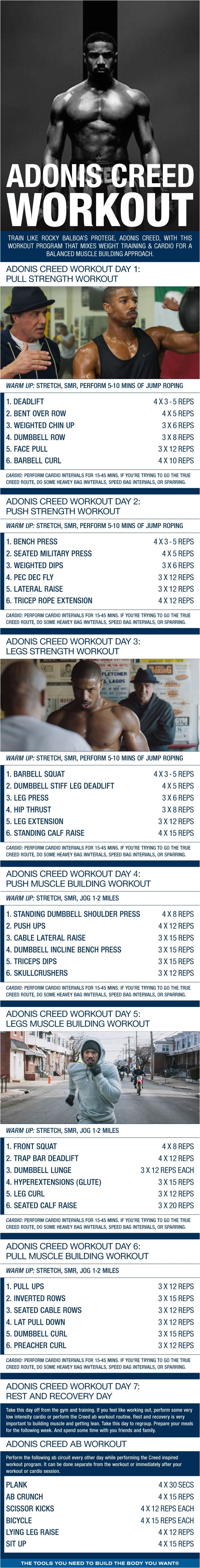 click through to download pdf train like rocky balboas protege adonis creed