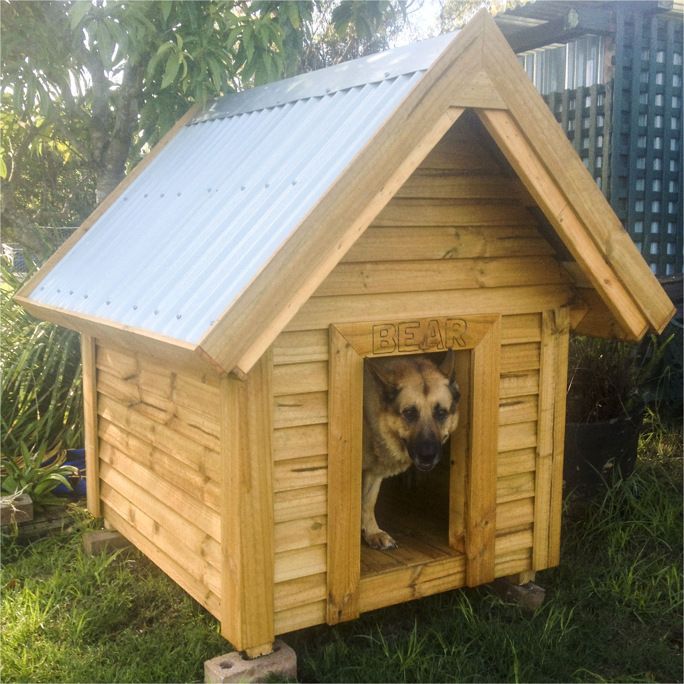 wooden dog kennels