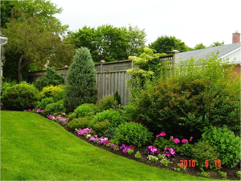 landscaping pictures and lawn small backyard landscaping on a price range home