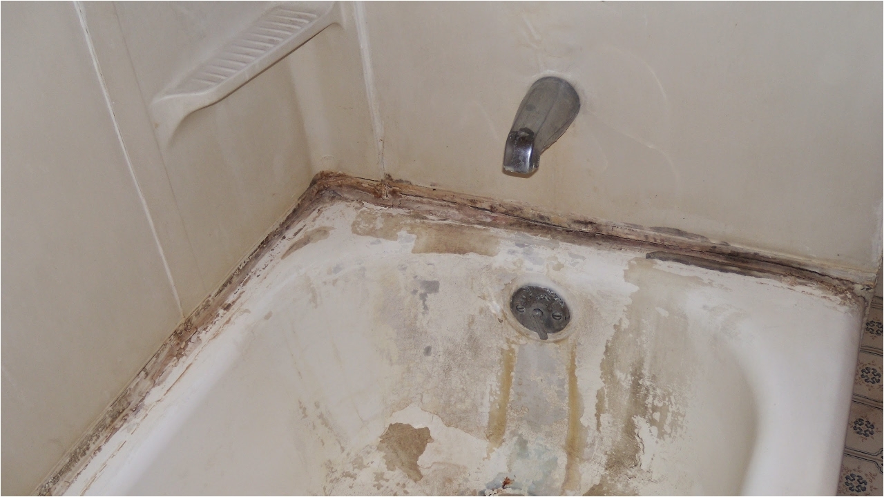 trained basement odor removal in buffalo ny bathtub refinishing repair buffalo ny1607