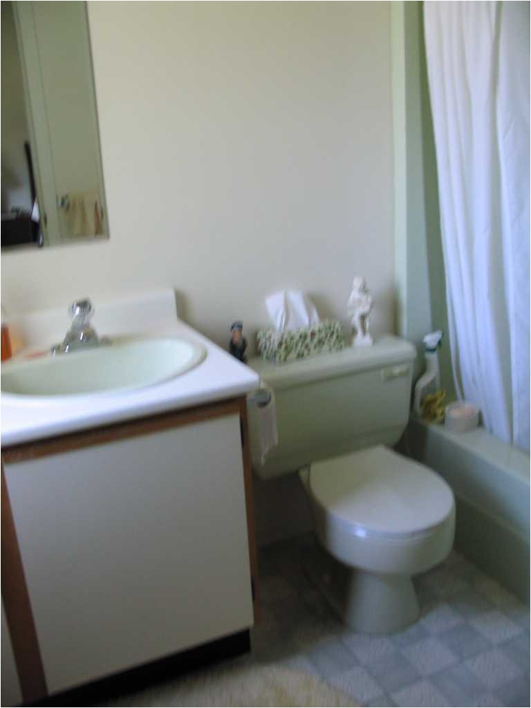 bathroom with mint green bathroom fixtures before being remodeled bathroom with mint green bathroom fixtures before