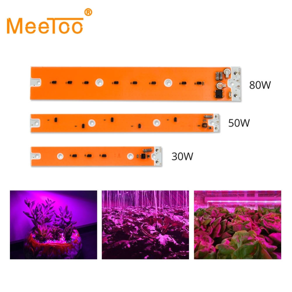 full spectrum led plant grow light led cob chip 30w 50w 80w 220v 110v diy led phyto lamp for indoor plants seedlings high power in led grow lights from