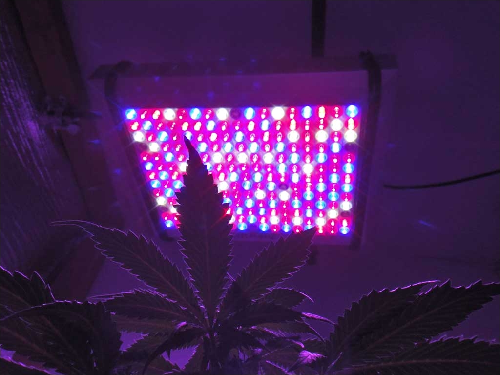 pro grow 400x