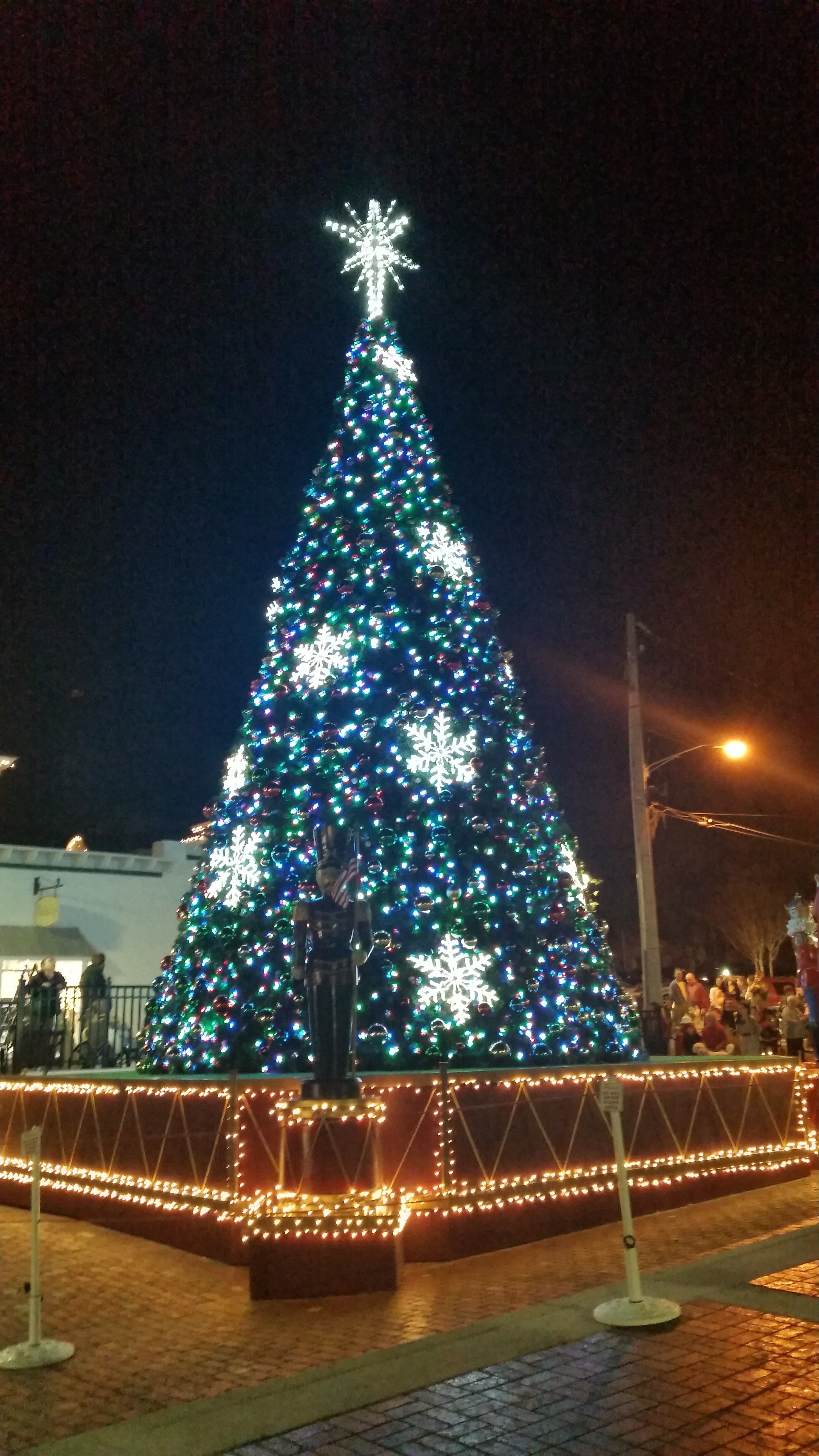 mount doras tree located in the heart of the new pedestrian plaza the lights were