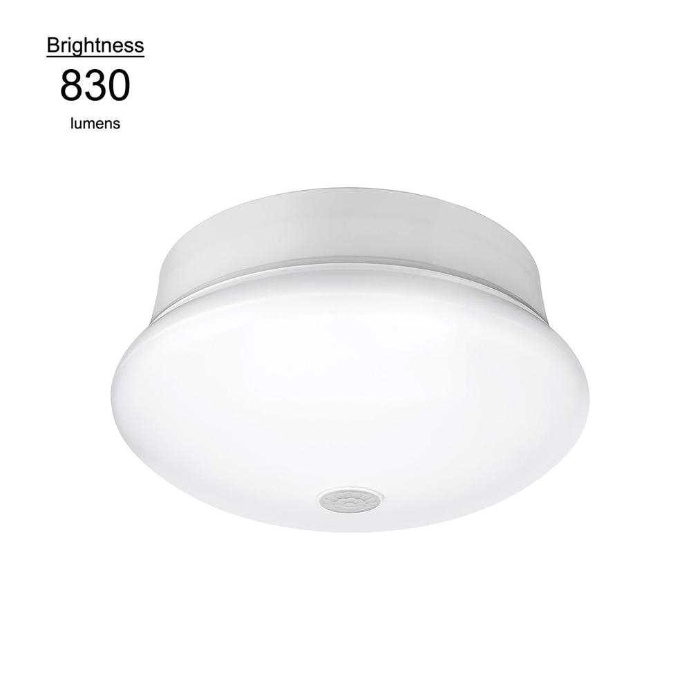 Closet Lights Home Depot Rectangle White Energy Star Flush Mount Lights Lighting