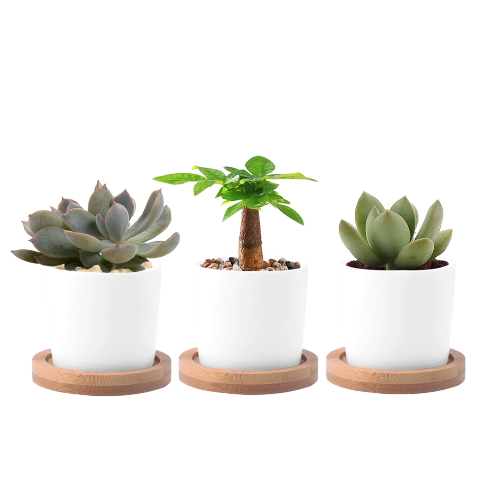 wituse white column flower pot ceramic succulent plant pot decorative desktop fern plants clay garden pot with plant pot tray