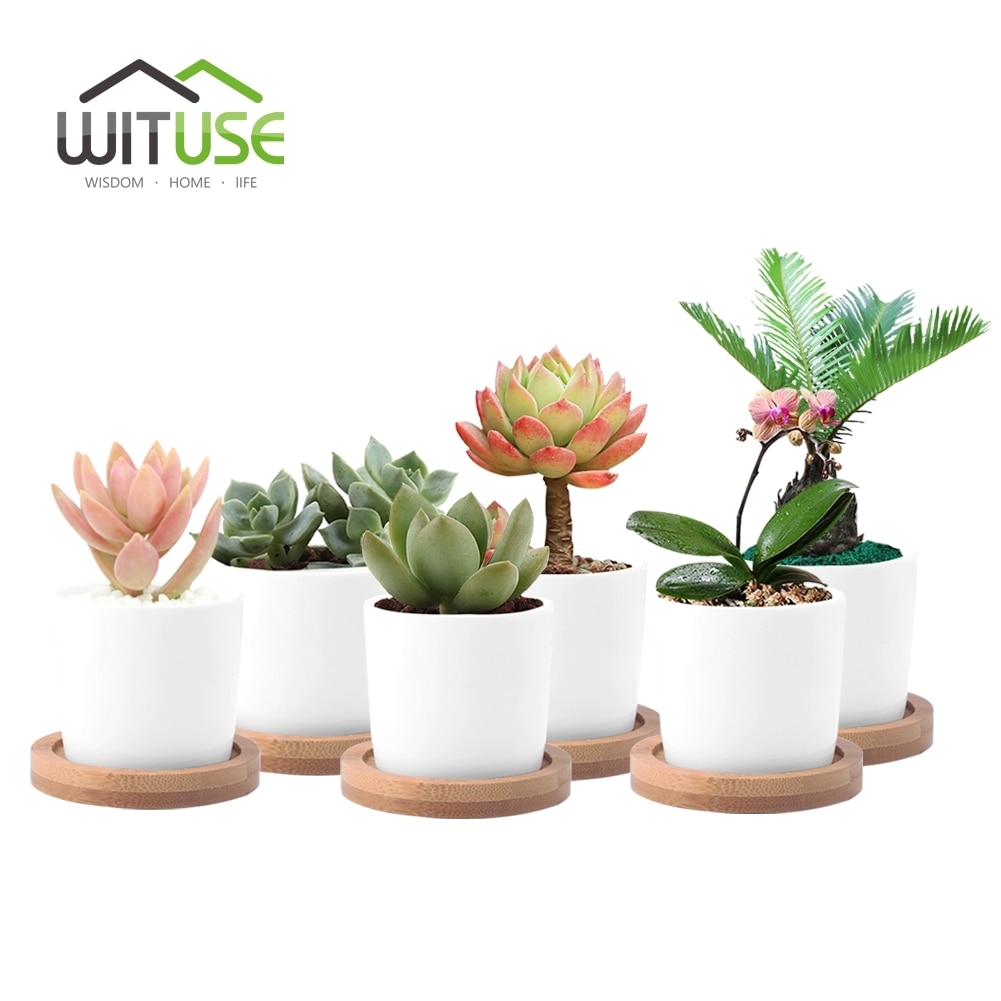 wituse white column flower pot ceramic succulent plant pot decorative desktop fern plants clay garden pot with plant pot tray in flower pots planters from