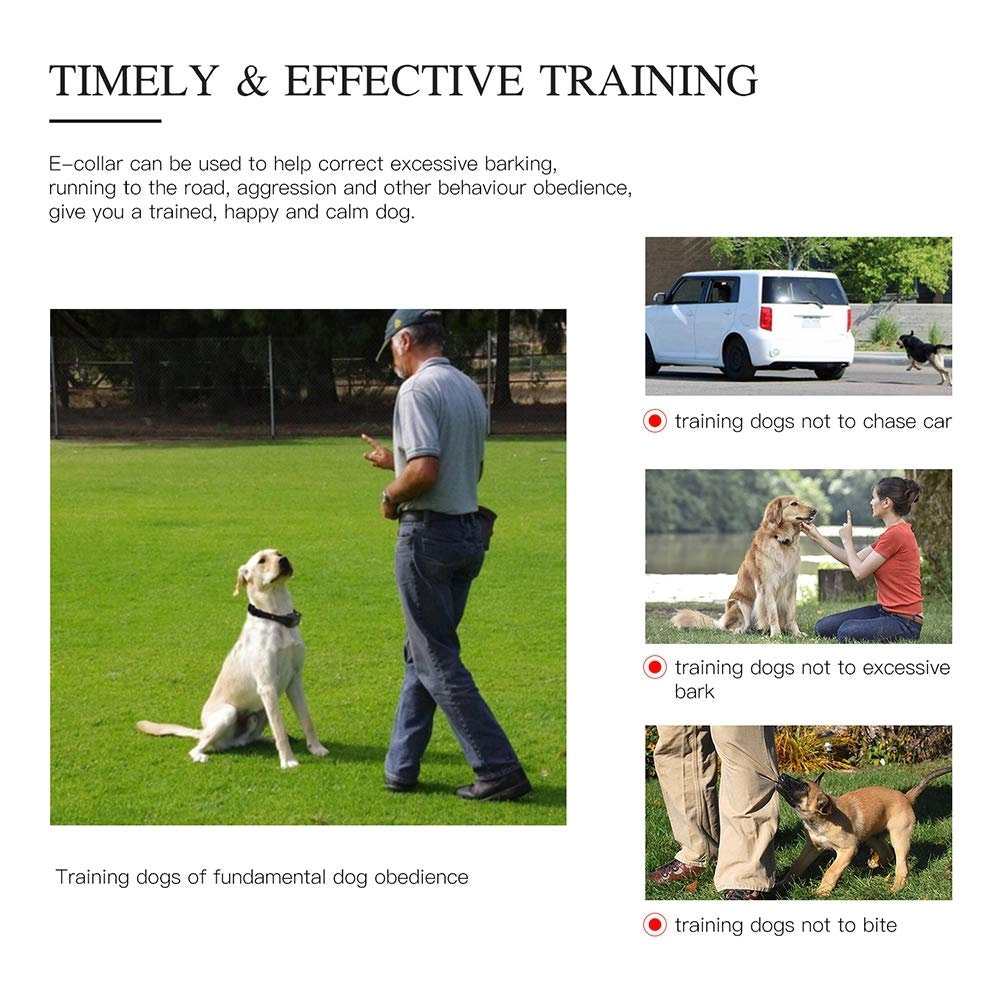 amazon com iduola dog training collar with remote dog training shock collar for small medium large dogs 2018 upgraded version 1800ft waterproof